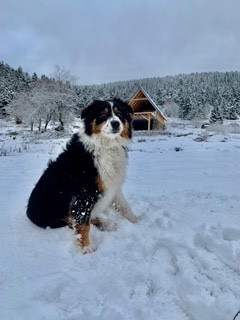 ROSA MAYA (Sans Affixe)